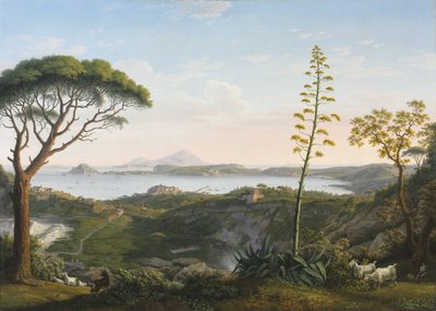 Vista del Golfo de Pozzuoli desde Solfatara de Jacob Philippe Hackert